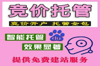 案例研究：竞价广告助力电商行业增长